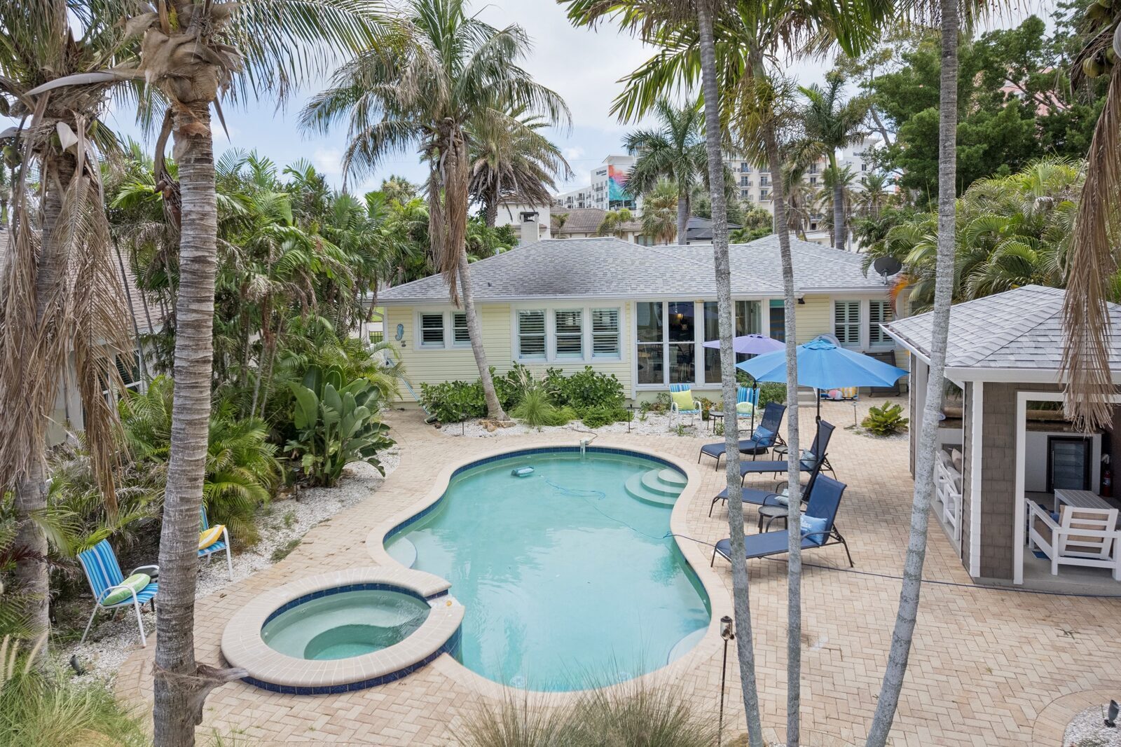 Pool and hot tub through the palms