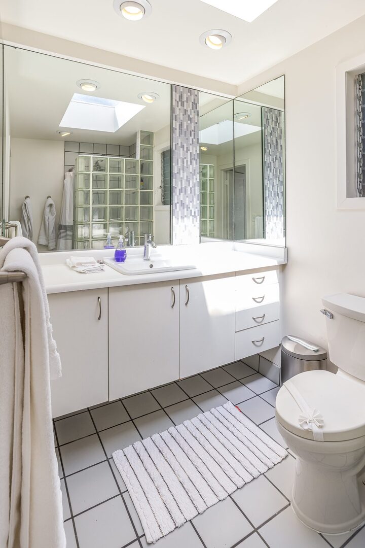 Primary bathroom with skylight and glass block shower