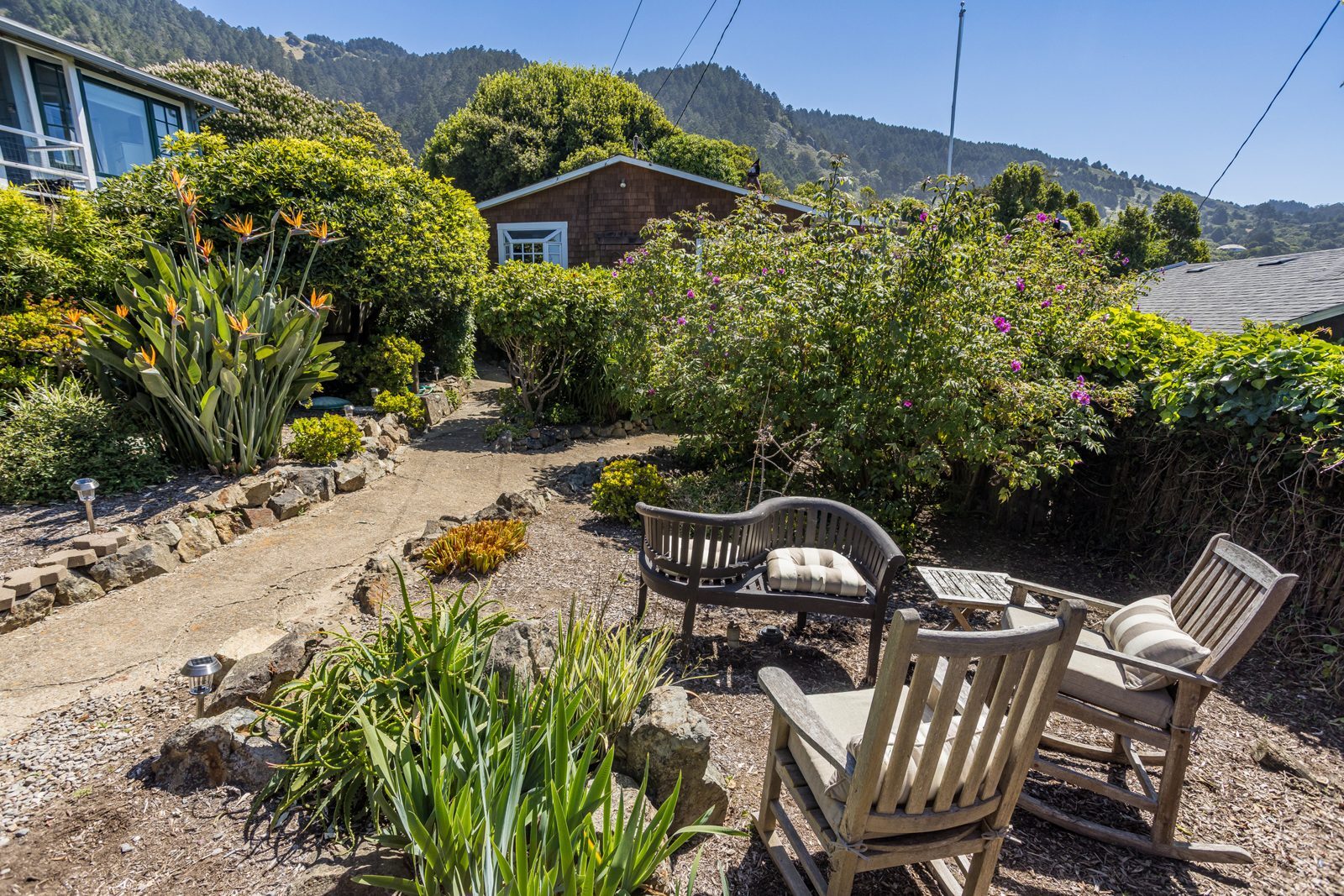 Garden path with birds of paradise