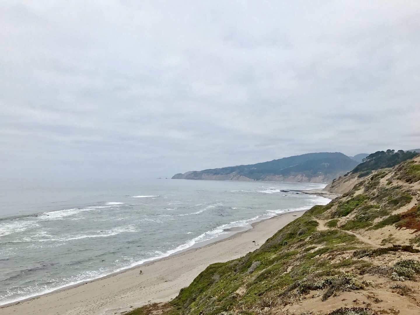 Coastal bluffs and dune trail along the headlands
