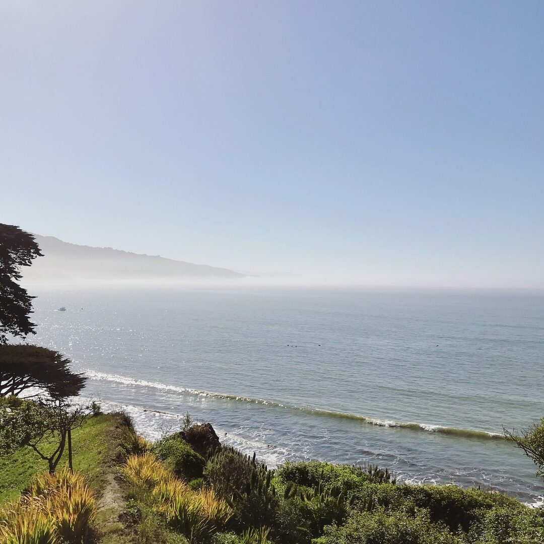 Fog drifting along the coastline