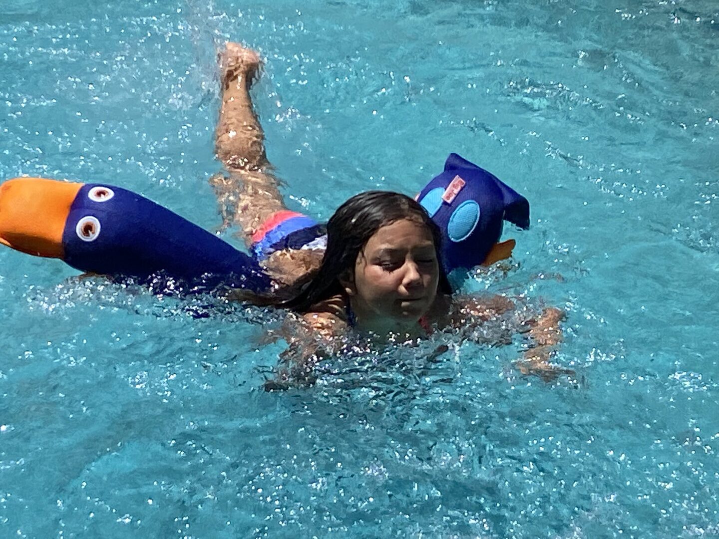 Swimming together