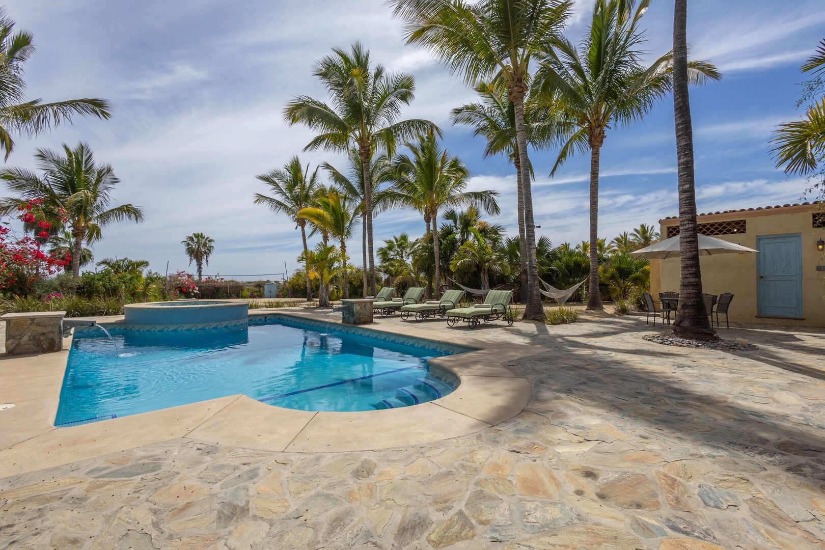 Pool loungers and hammock beneath the palms
