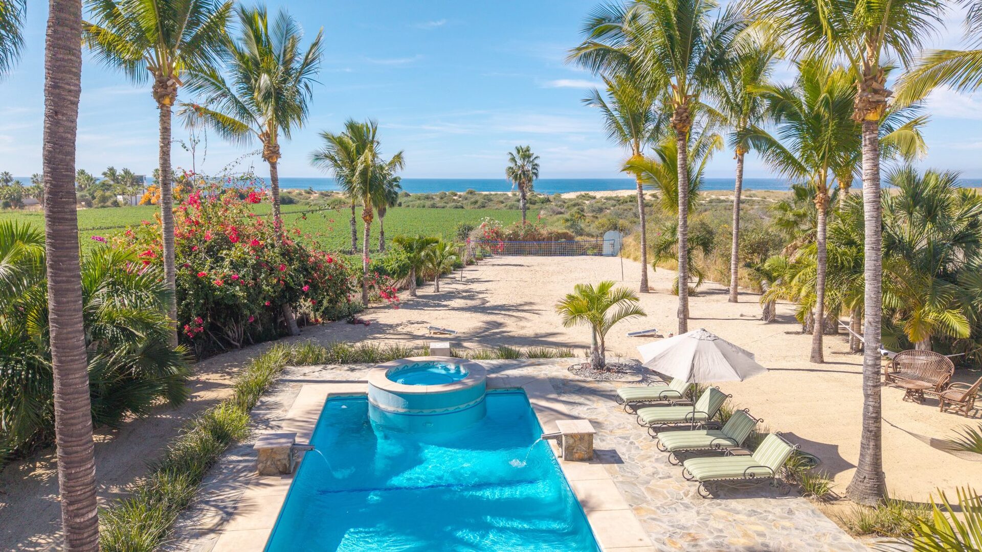 Pool looking toward the Pacific through palms and bougainvillea