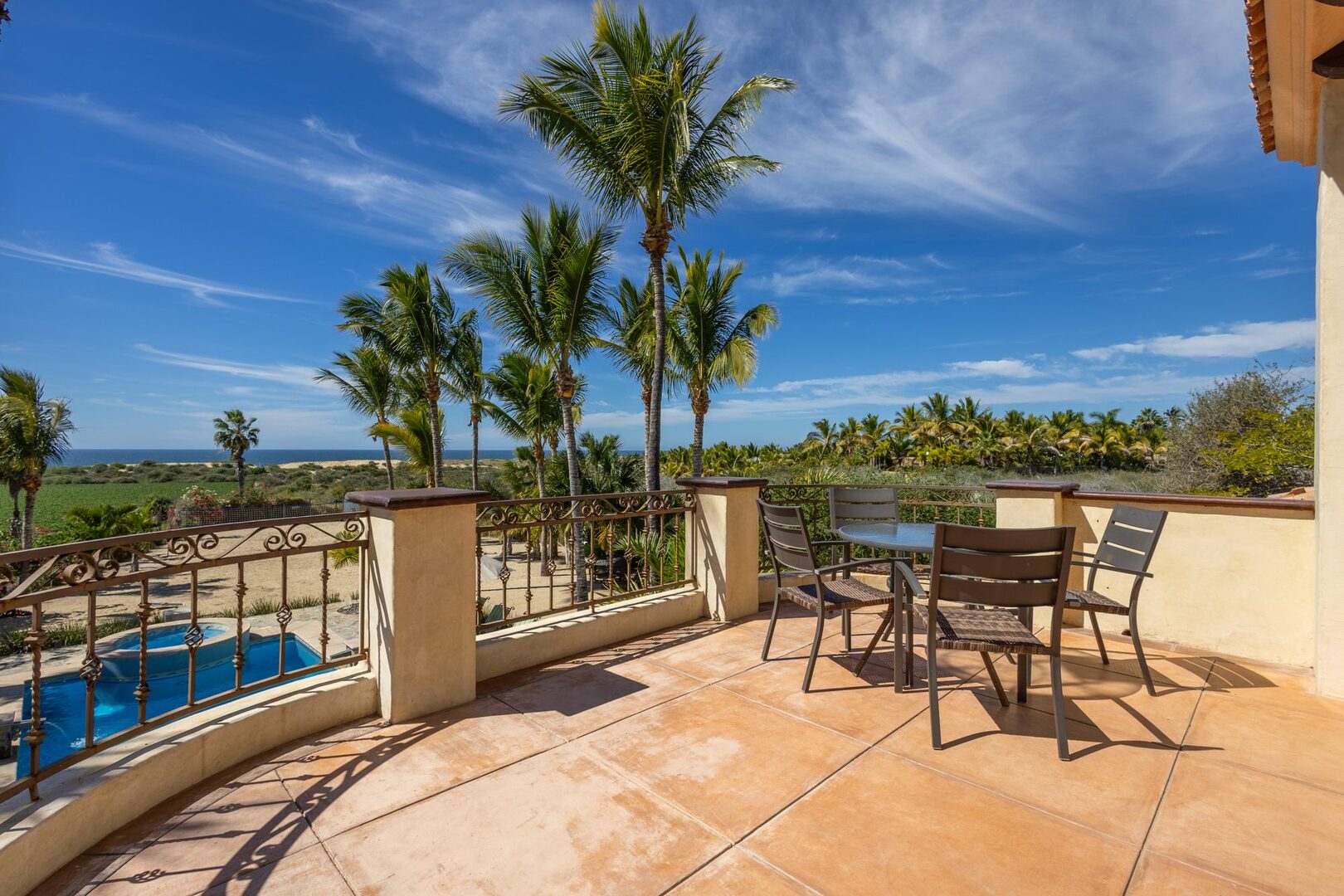 Upper terrace with palms, pool, and ocean horizon