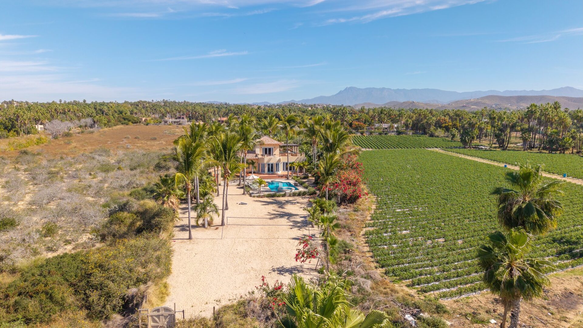 Aerial view of the property with farmland and Sierra de la Laguna mountains