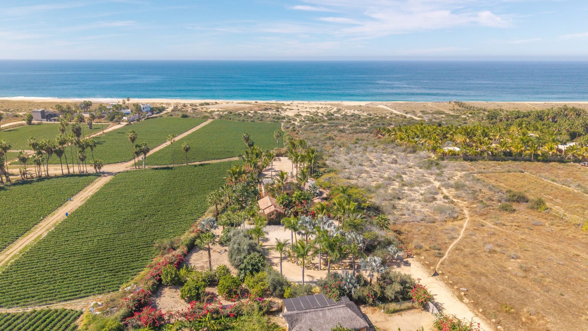 Aerial view of Flora Rosa amid farmland with the Pacific Ocean beyond